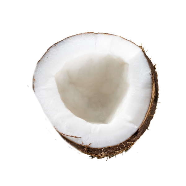 COCONUT OIL.png__PID:652bdc0f-1b97-44be-b418-ecf2ecaf0aca