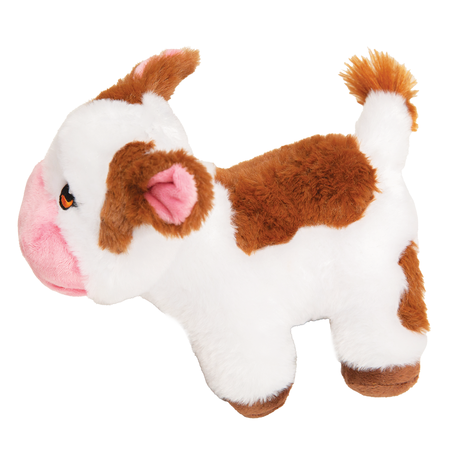 Caitlin the Cow