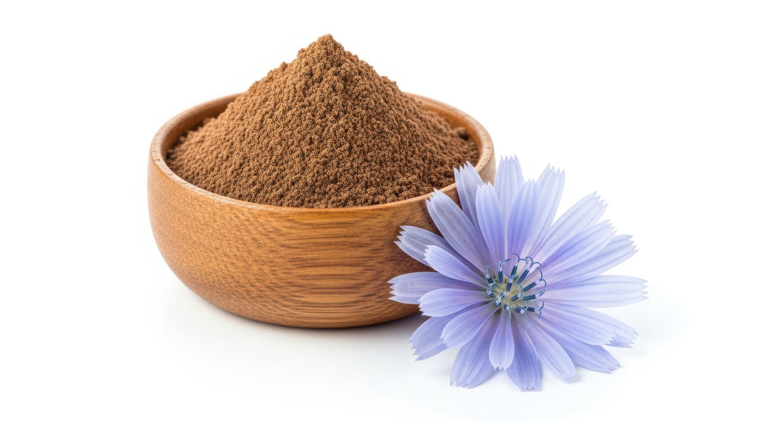 Chicory Root