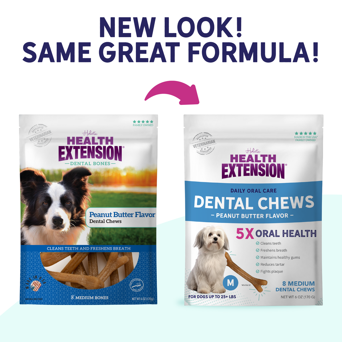 View of Peanut Butter Dental Bones for Dogs | Tartar Control – Health Extension