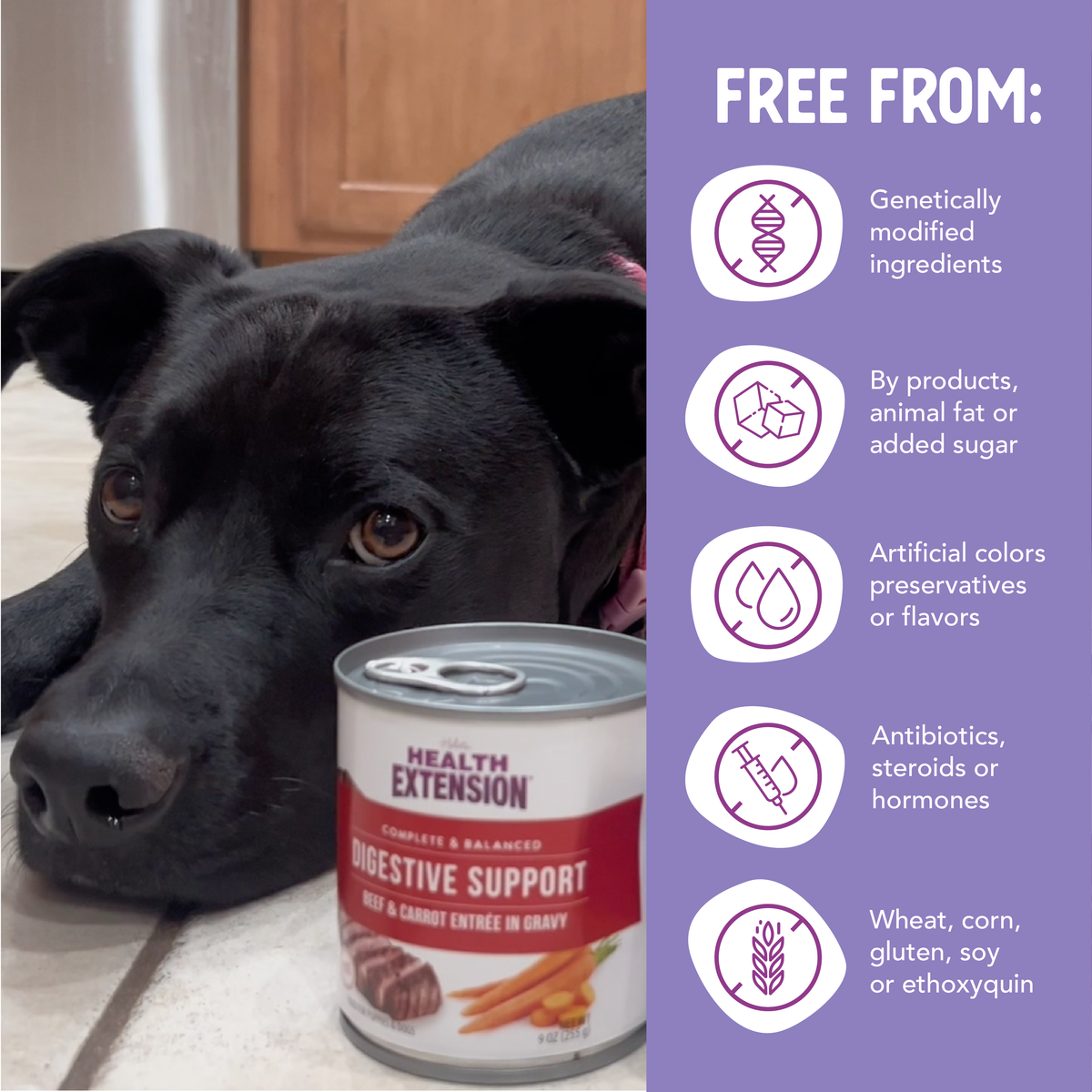 Digestive Support, Variety Pack -Chicken, Beef & Turkey