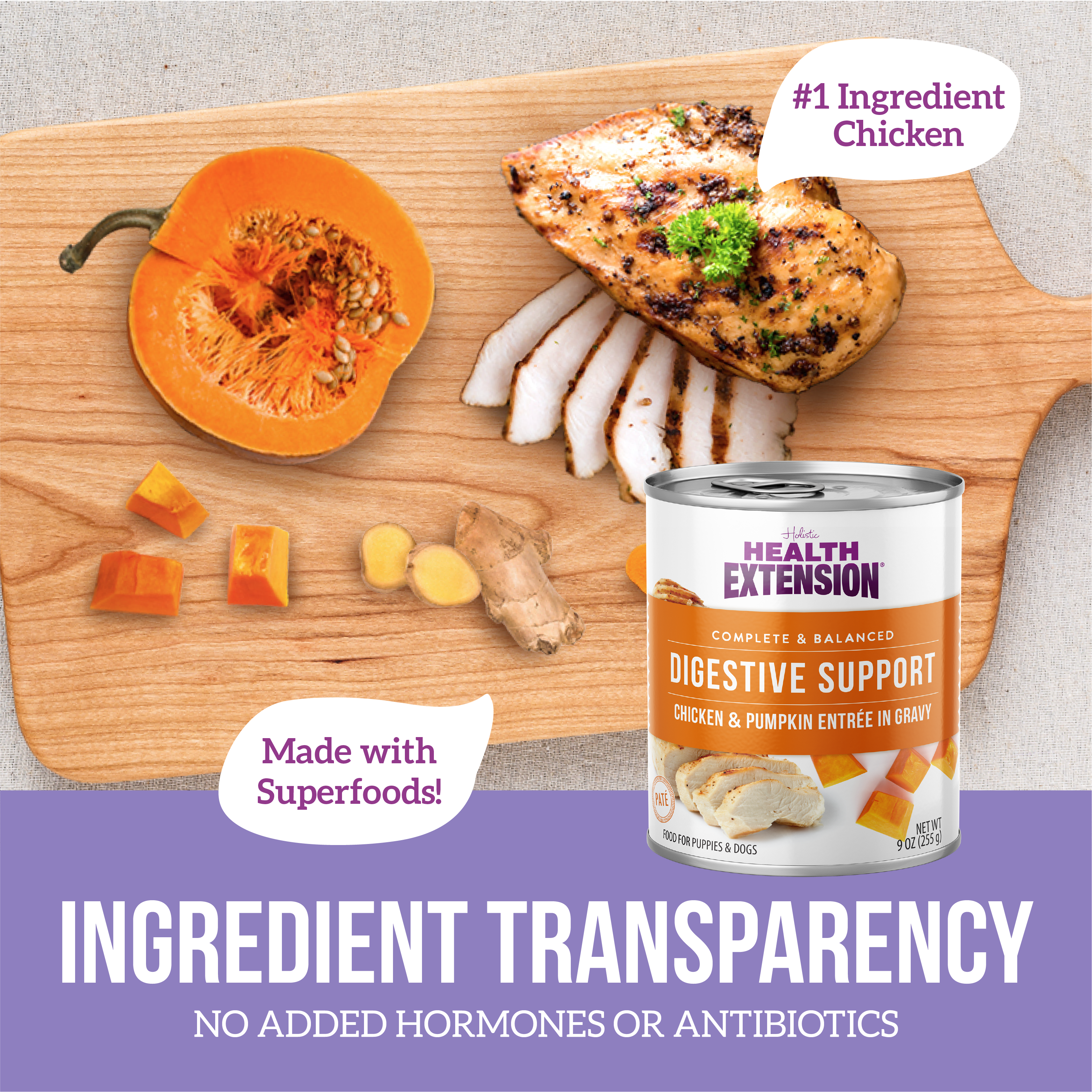 Digestive Support, Chicken & Pumpkin Entrée in Gravy 9oz