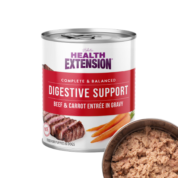 Six cans of Health Extension Digestive Support Variety Pack: Chicken, Beef & Turkey dog food are arranged in two rows, showing beef & carrot, chicken & pumpkin, and turkey & sweet potato flavors with vibrant ingredient images.