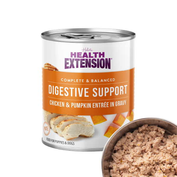 Six cans of Health Extension Digestive Support Variety Pack: Chicken, Beef & Turkey dog food are arranged in two rows, showing beef & carrot, chicken & pumpkin, and turkey & sweet potato flavors with vibrant ingredient images.