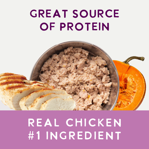 A 9oz can of Health Extension Digestive Support, Chicken & Pumpkin Entrée in Gravy, made with superfoods for dogs, suitable for puppies and adults. The label shows chicken slices and pumpkin cubes.