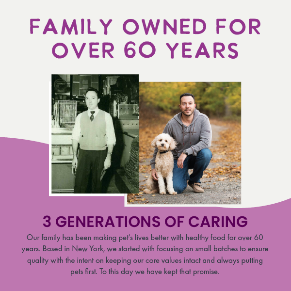 A 9oz can of Health Extension Digestive Support, Chicken & Pumpkin Entrée in Gravy, made with superfoods for dogs, suitable for puppies and adults. The label shows chicken slices and pumpkin cubes.