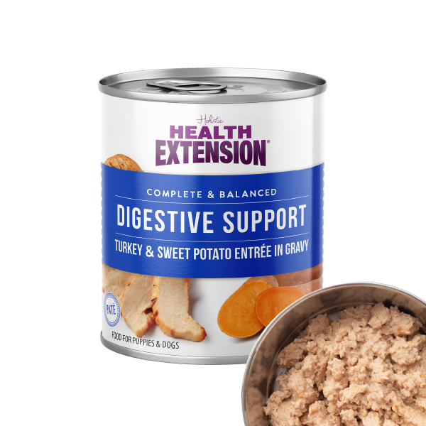 Six cans of Health Extension Digestive Support Variety Pack: Chicken, Beef & Turkey dog food are arranged in two rows, showing beef & carrot, chicken & pumpkin, and turkey & sweet potato flavors with vibrant ingredient images.