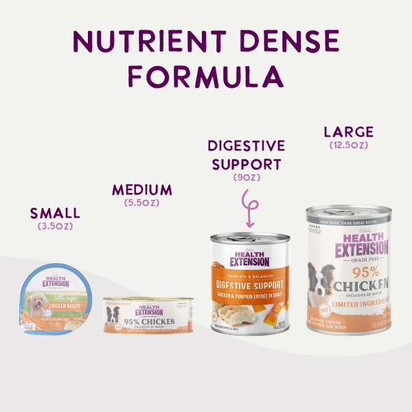 Six cans of Health Extension Digestive Support Variety Pack: Chicken, Beef & Turkey dog food are arranged in two rows, showing beef & carrot, chicken & pumpkin, and turkey & sweet potato flavors with vibrant ingredient images.