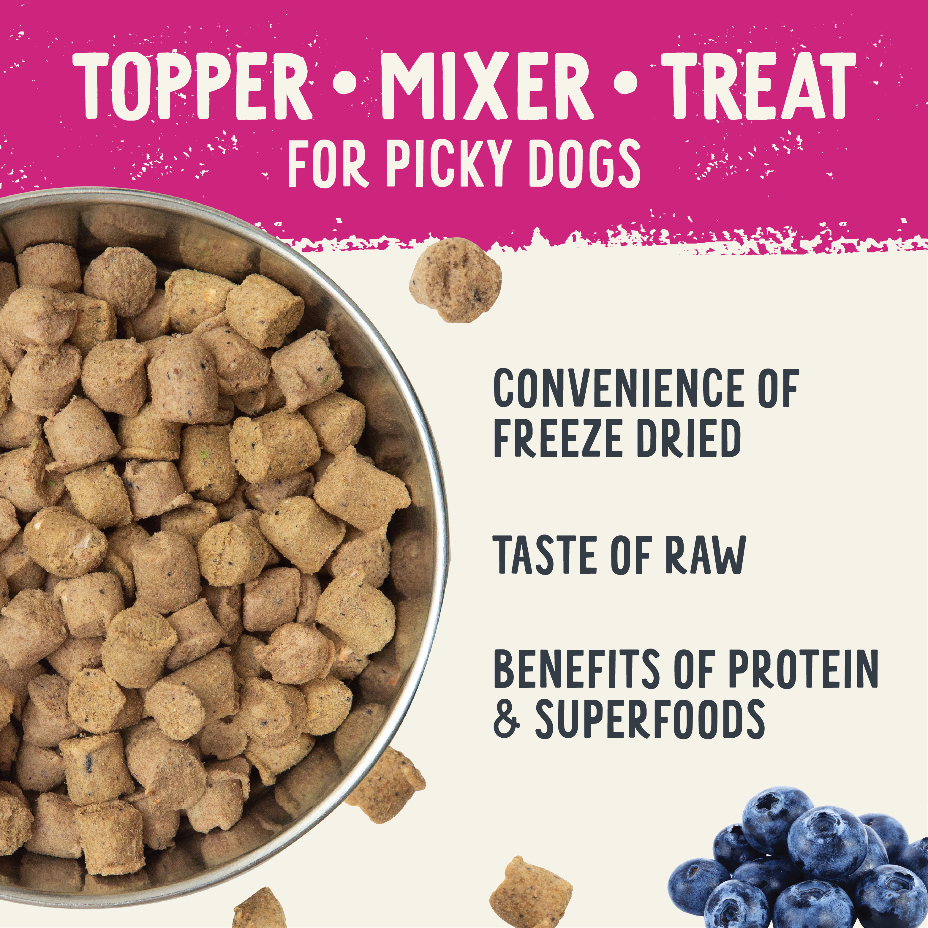 Freeze Dried Raw Salmon Recipe product in a bowl and benefit information