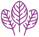 GC_ICONS-08.png__PID:8d0db7f5-9ee1-44d1-a859-b2e2adcd6b46