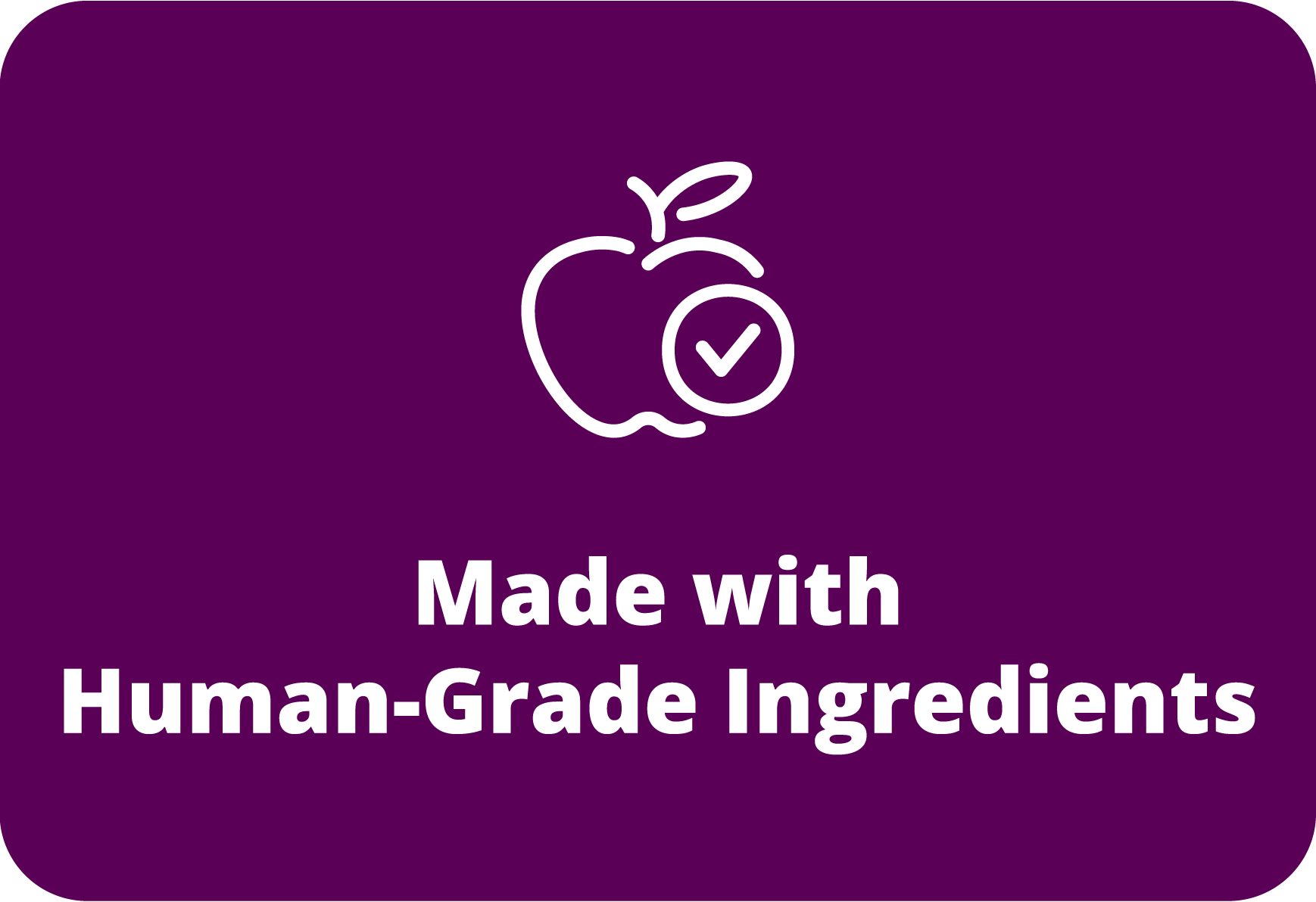 GENTLYCOOKED_DESKTOP-08.png__PID:791d1a25-549a-411d-aa1c-d569f228c7a6