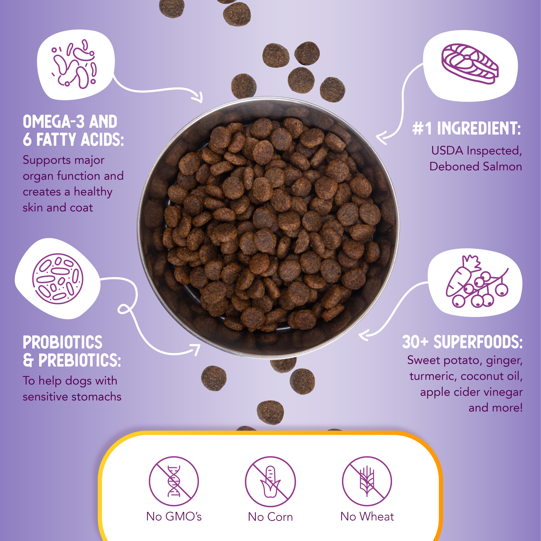 Picture of Health Extension Grain Free Salmon Recipe Dry Dog Food
