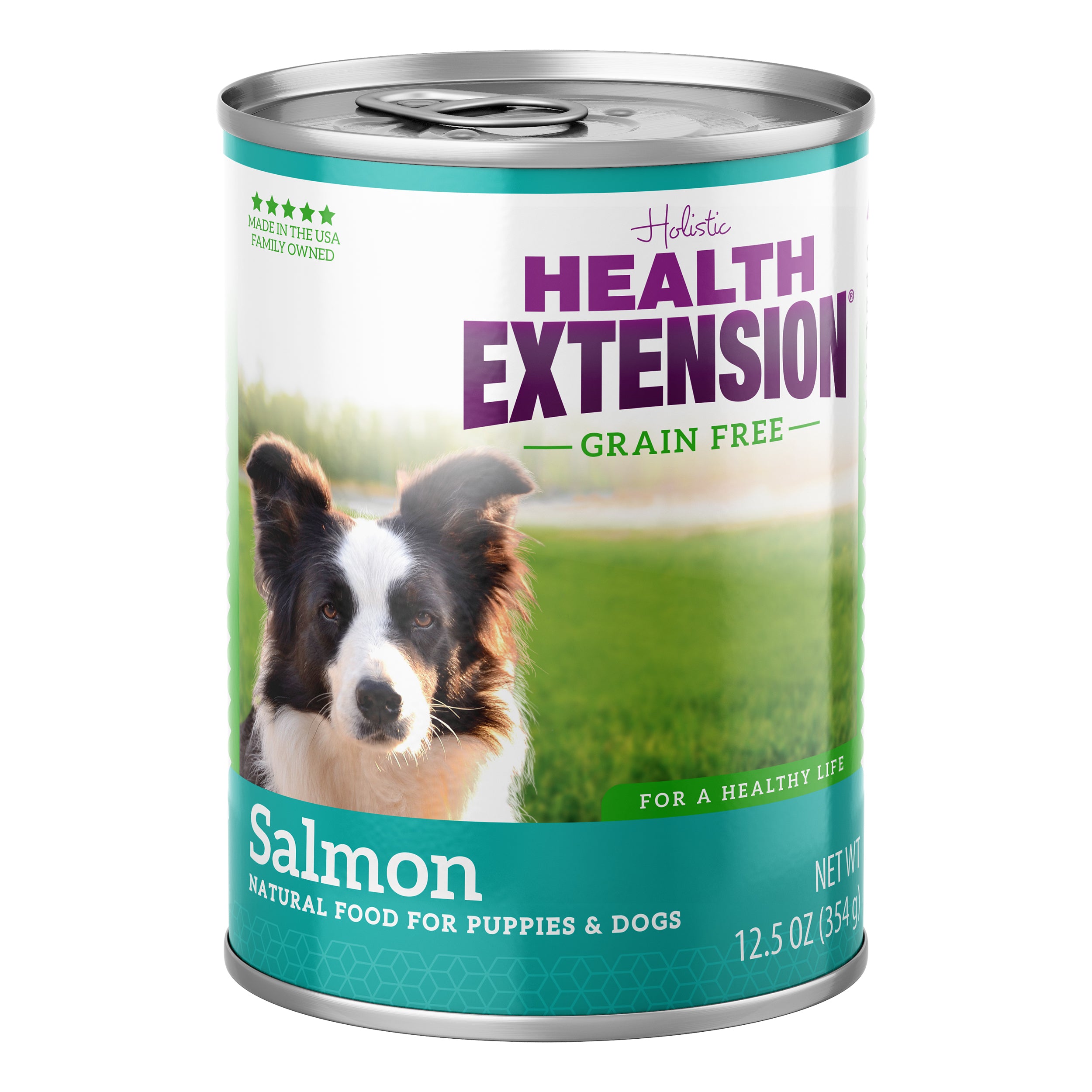 Grain Free 95% Salmon Dog Food | Canned Wet Dog Food – Health