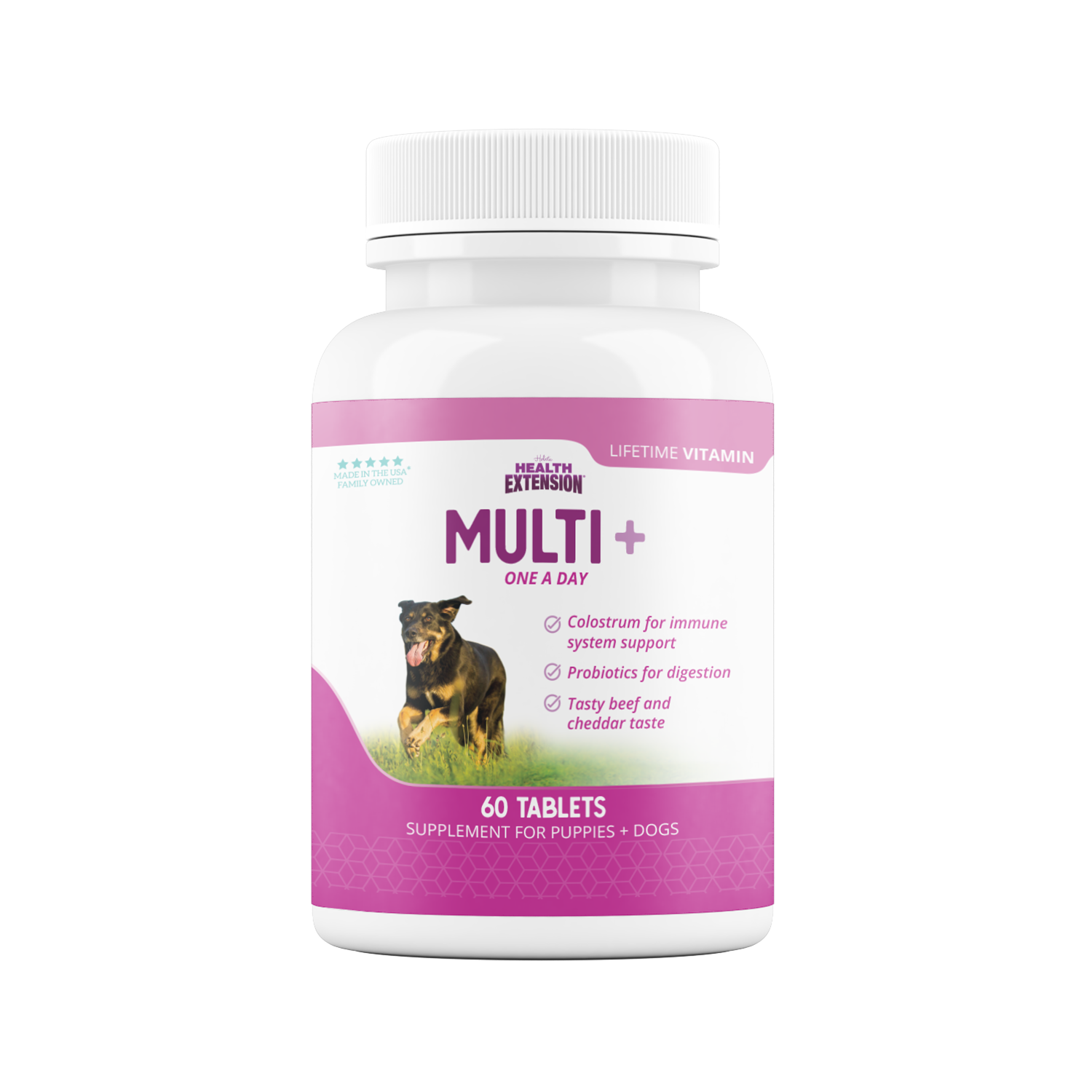 Multi + Lifetime Vitamins 60 Count