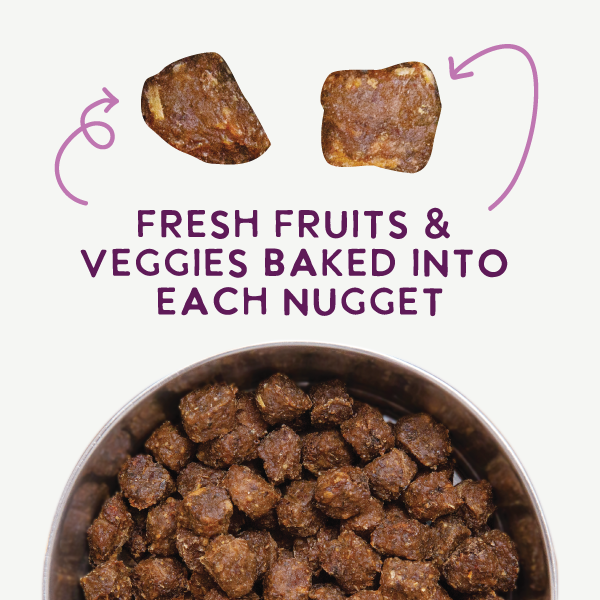 Health Extension Gently Air Dried Complete Chicken Recipe Dog Food