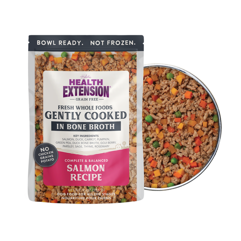Gently Cooked Grain Free Salmon Recipe