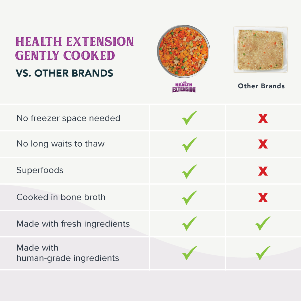 Gently Cooked Grain Free Vegetarian Recipe