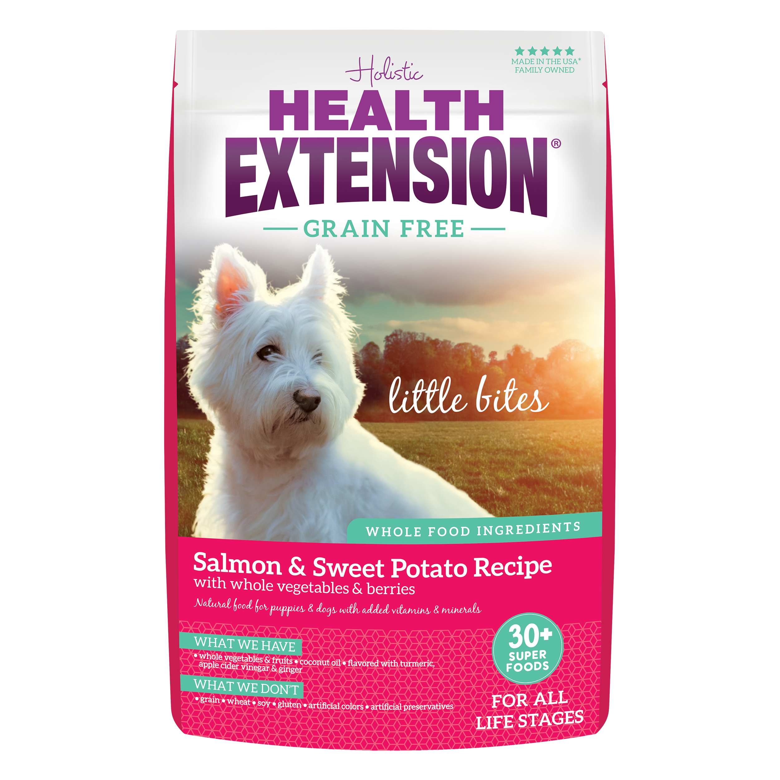 Health Extension Grain Free Salmon Recipe Dry Dog Food