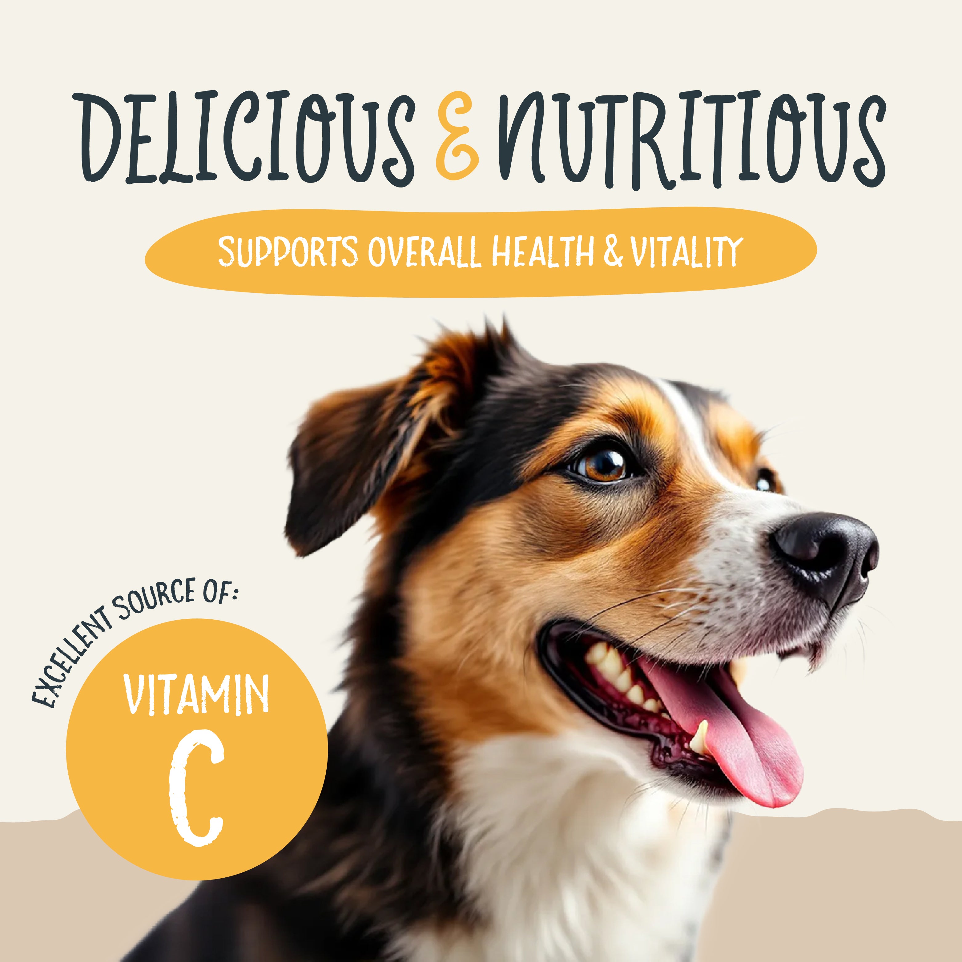 Sammy Snacks graphic showing how the treats are an excellent source of vitamin c and supports overall health and vitality