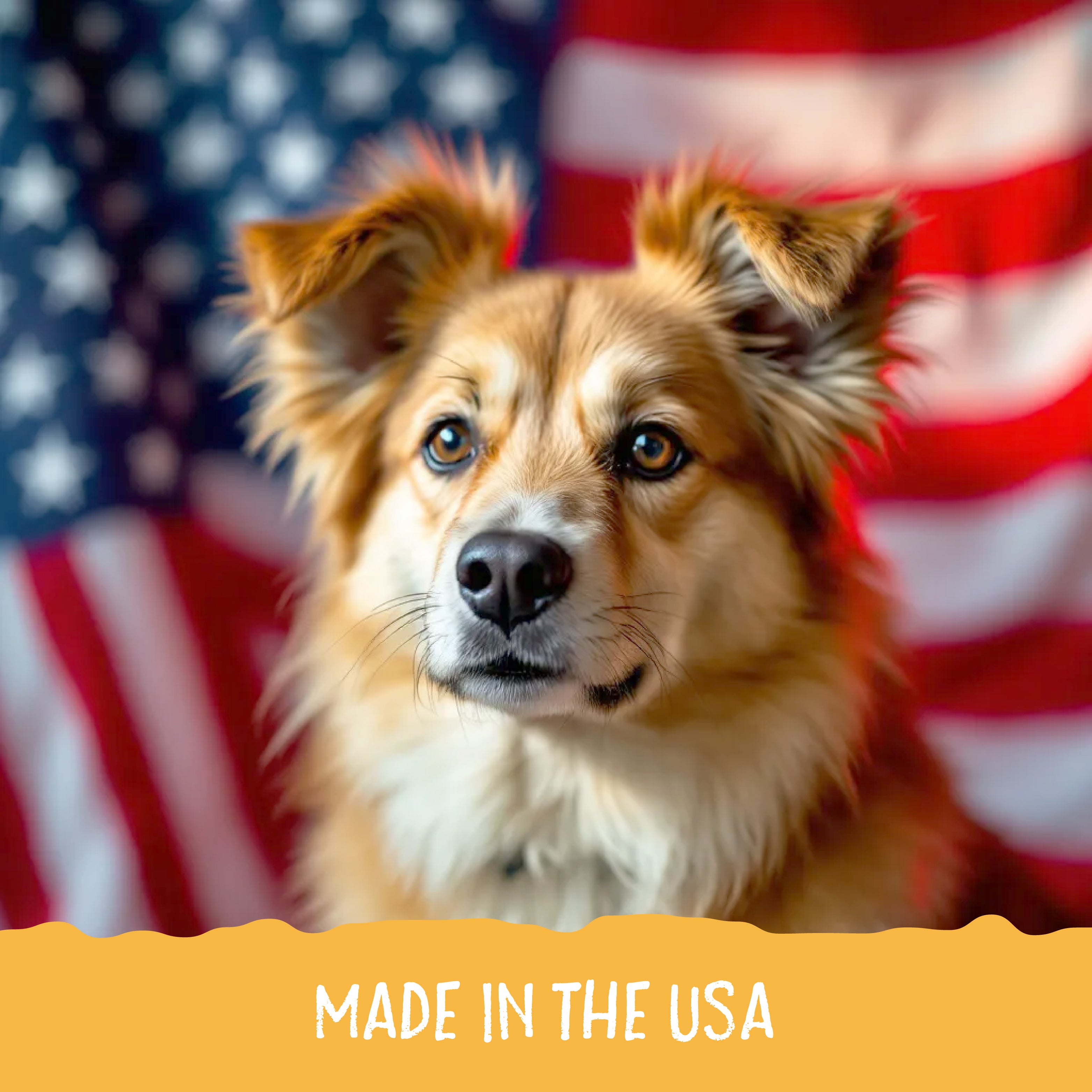 Graphic showing a dog with an American flag portraying that Sammy Snacks are made in the USA