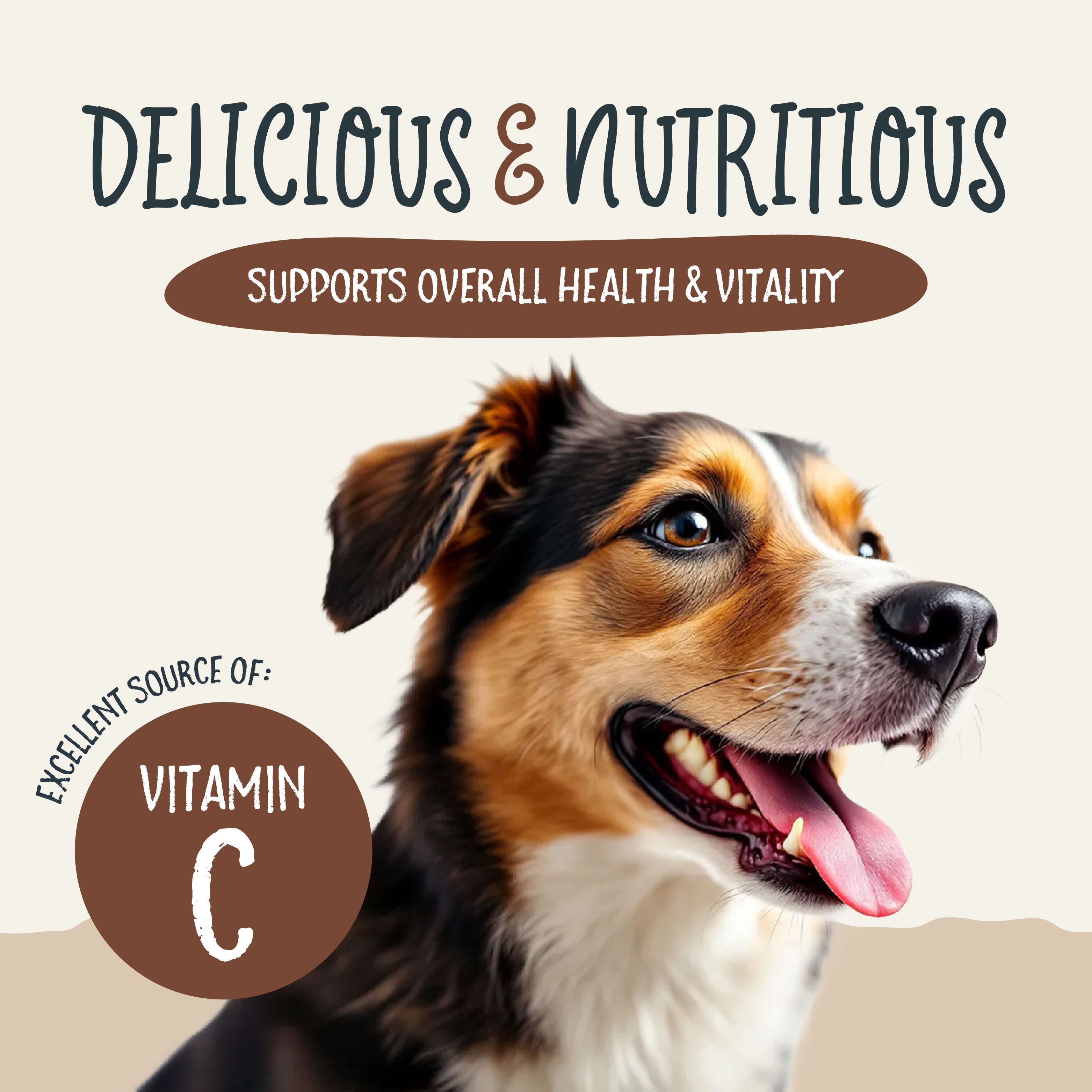 Sammy Snacks graphic showing how the treats are an excellent source of vitamin c and supports overall health and vitality