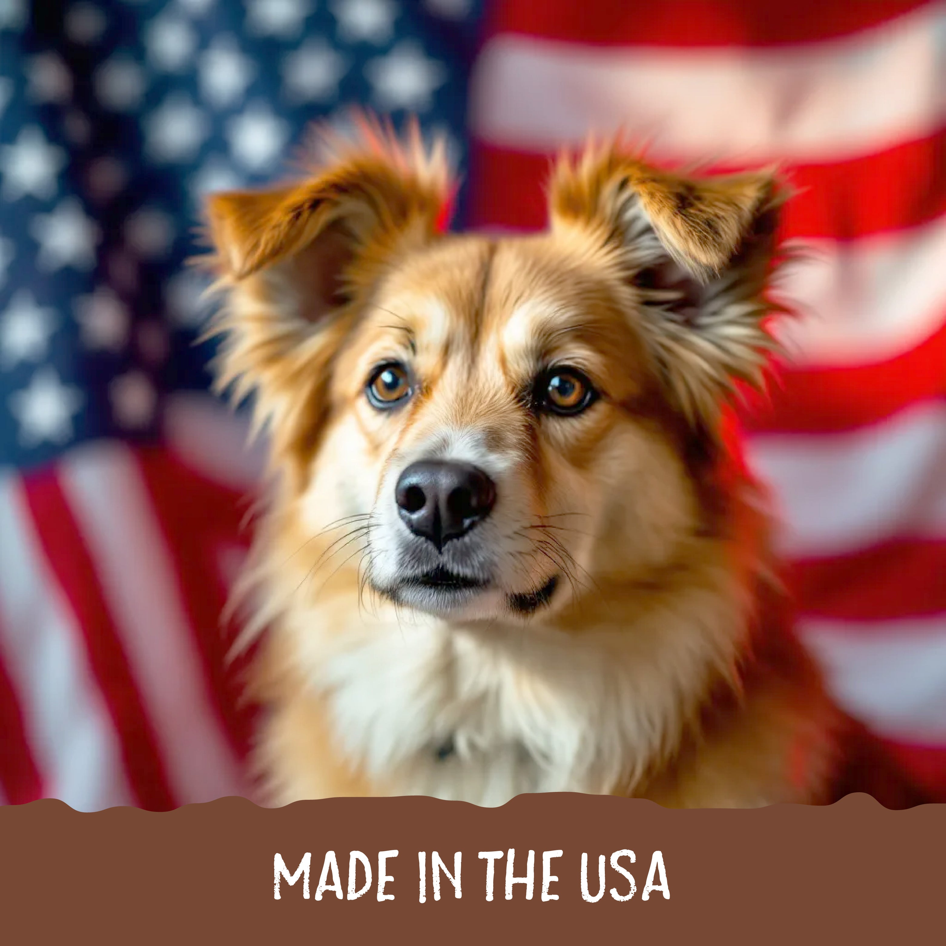 Graphic showing a dog with an American flag portraying that Sammy Snacks are made in the USA