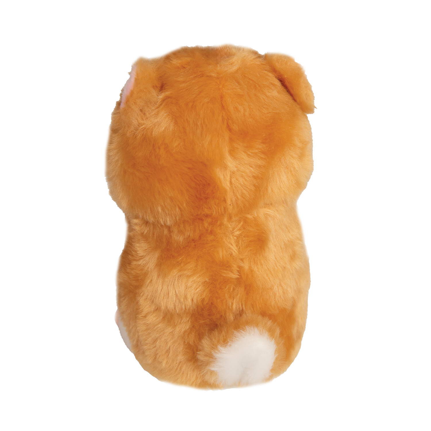 Hannah's Hampster
