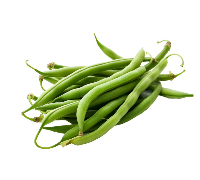 IMAGE 03 - GREEN BEANS.png__PID:974a2096-46bd-46ea-a28c-36859231e3e8