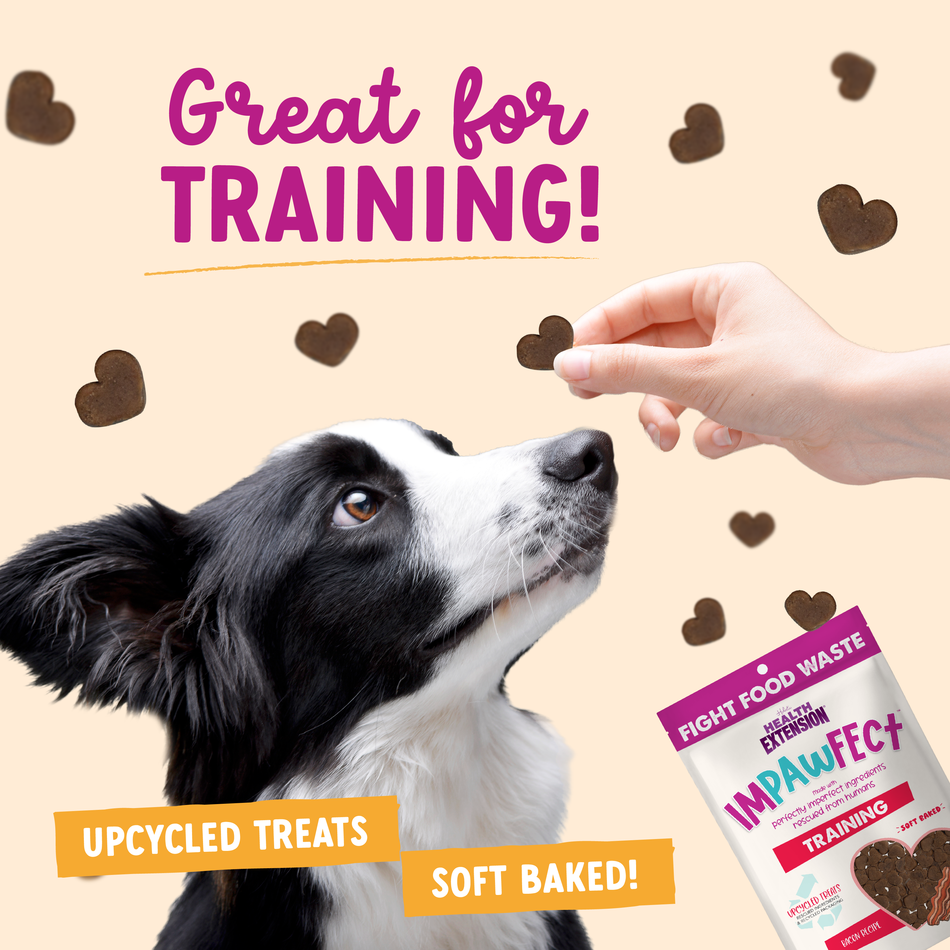 Health Extension Impawfect Bacon Recipe Training Treats for Dogs