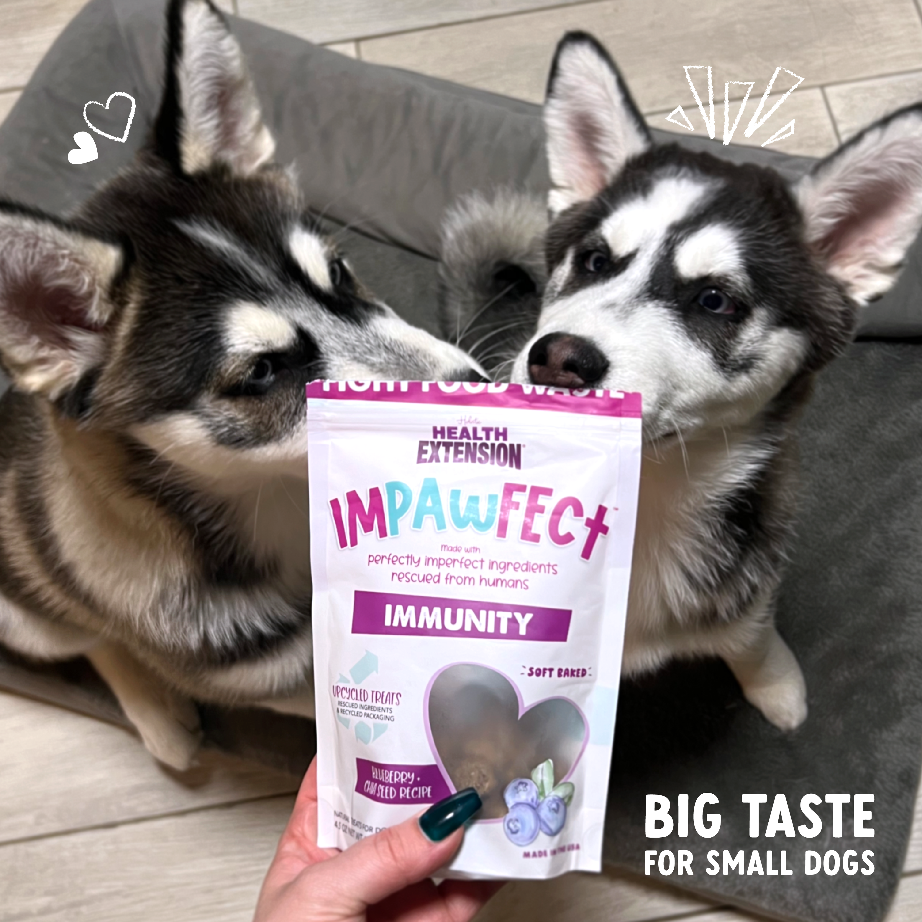 Impawfect Blueberry & Chia Seeds for Immunity Support