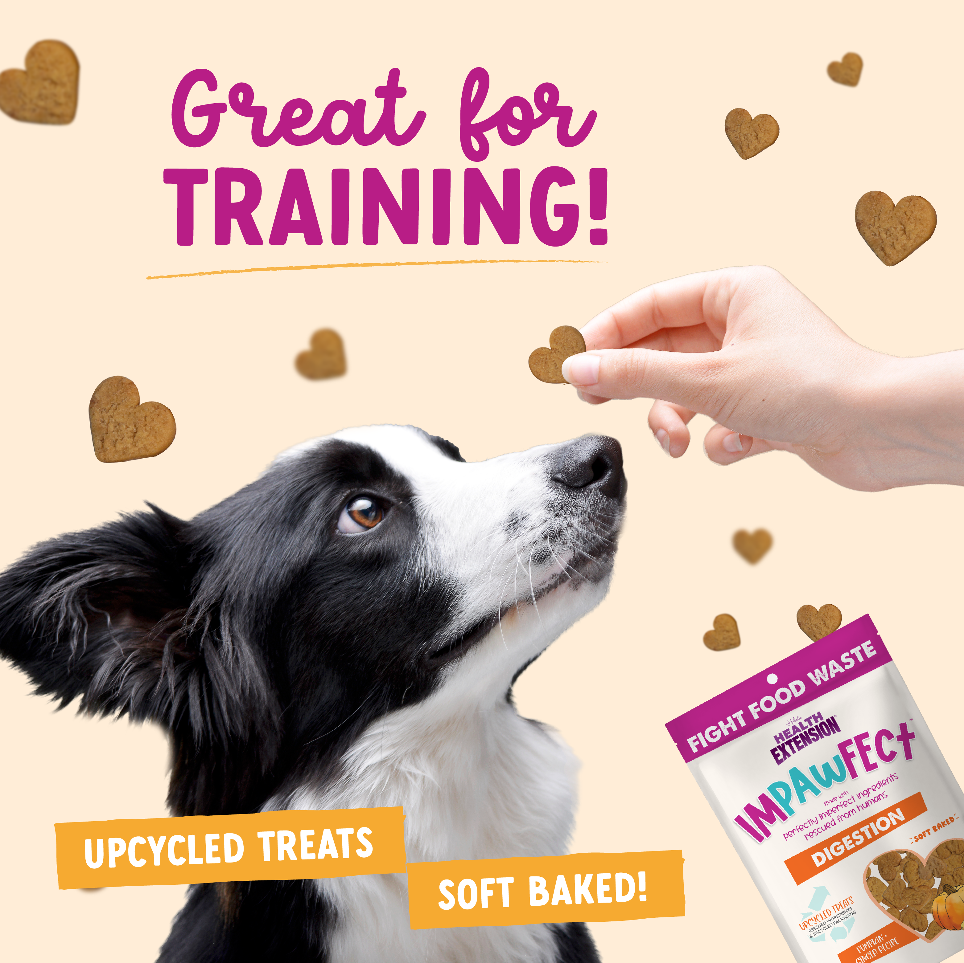 Impawfect Pumpkin & Ginger Treats for Digestive Support