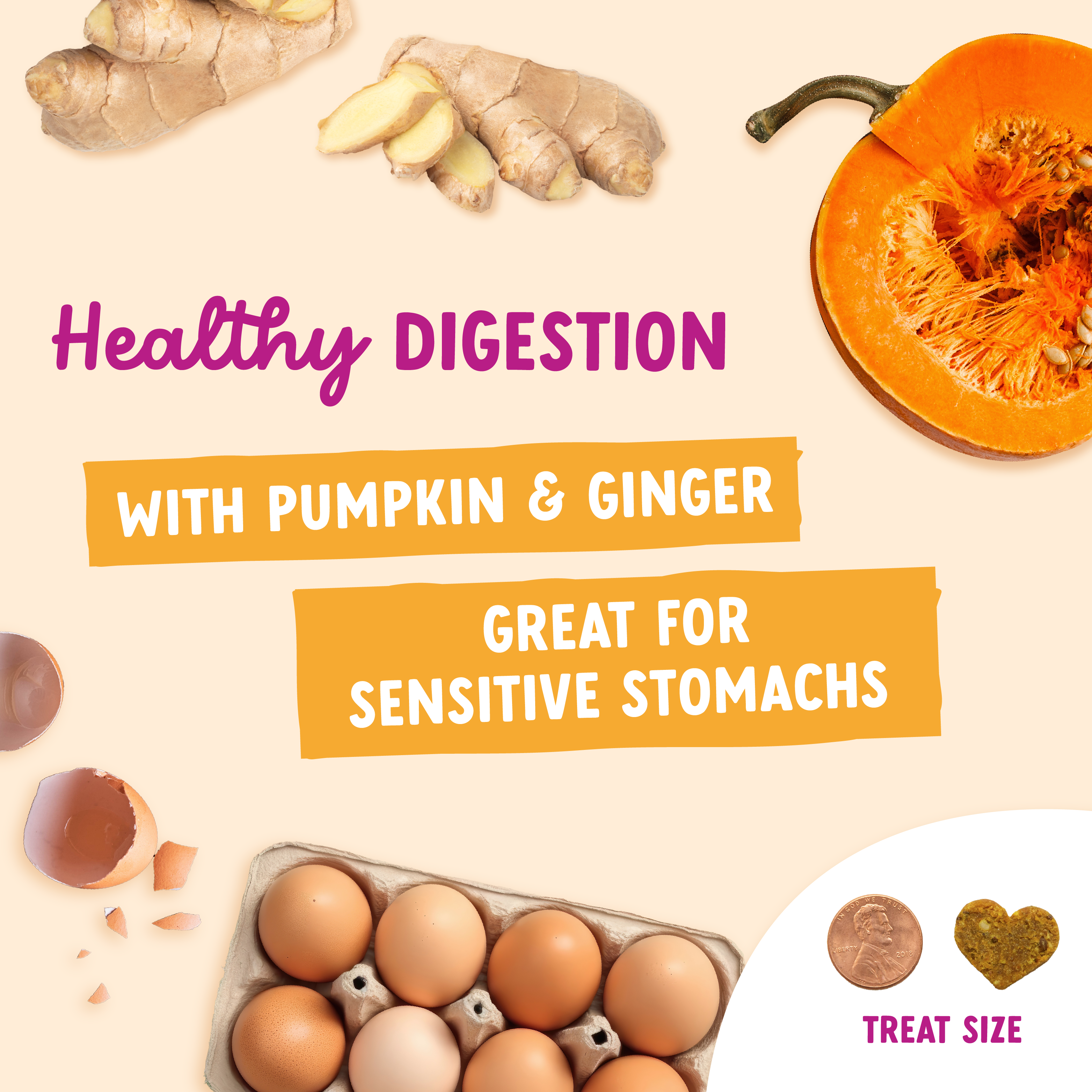 Impawfect Pumpkin & Ginger Treats for Digestive Support