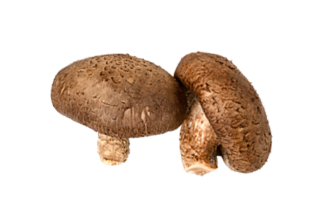 Organic Shiitake