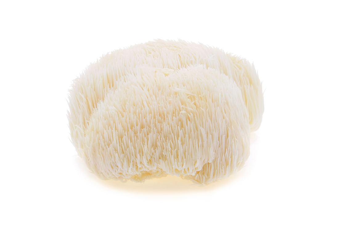 Organic Lion's Mane