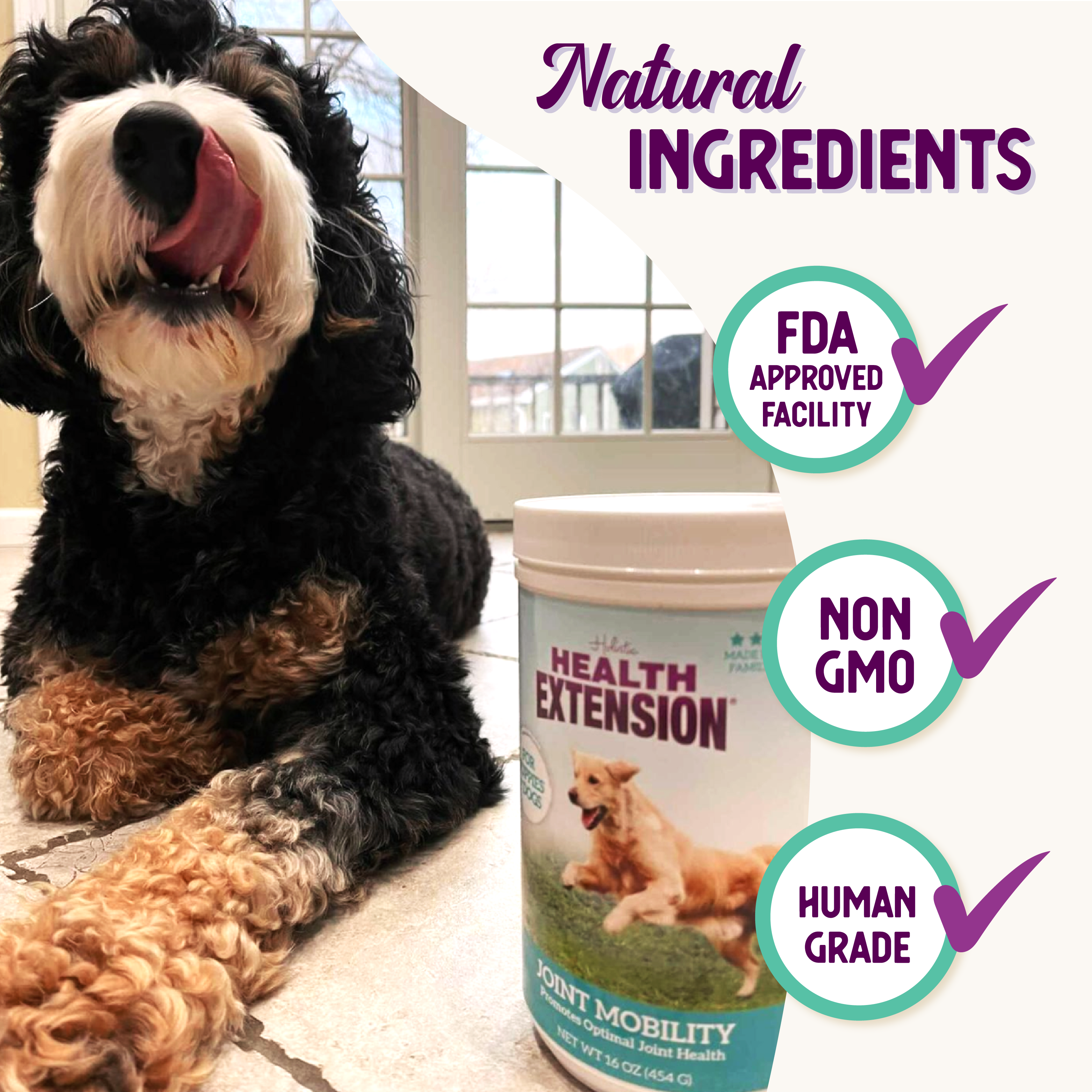 Extend joint for dogs hot sale