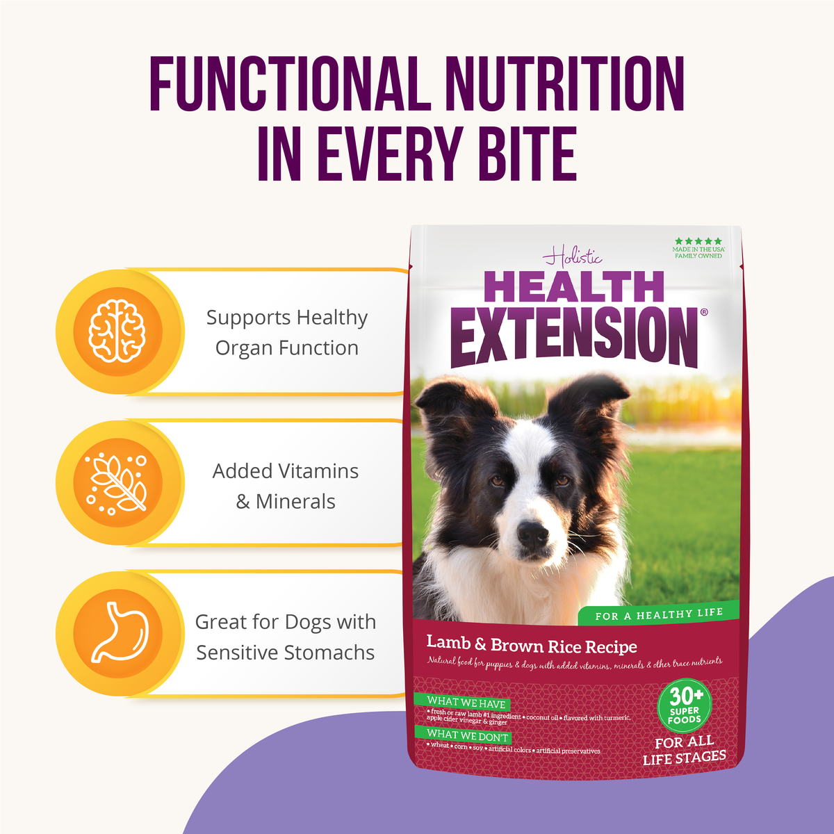 Lamb Dry Dog Food | Healthy Lamb & Brown Rice Recipe – Health Extension