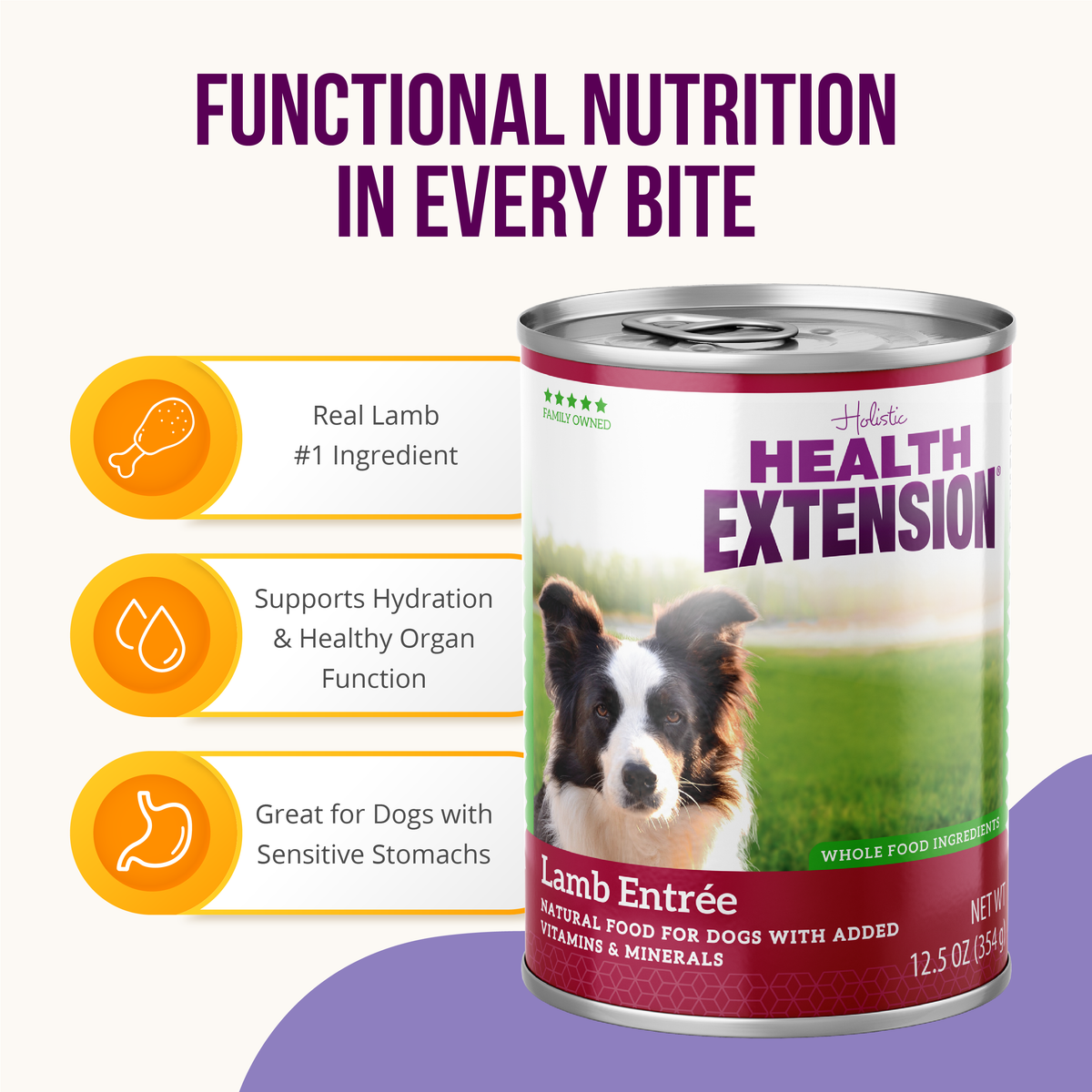 Lamb Entree Dog Food | Canned Wet Dog Food – Health Extension