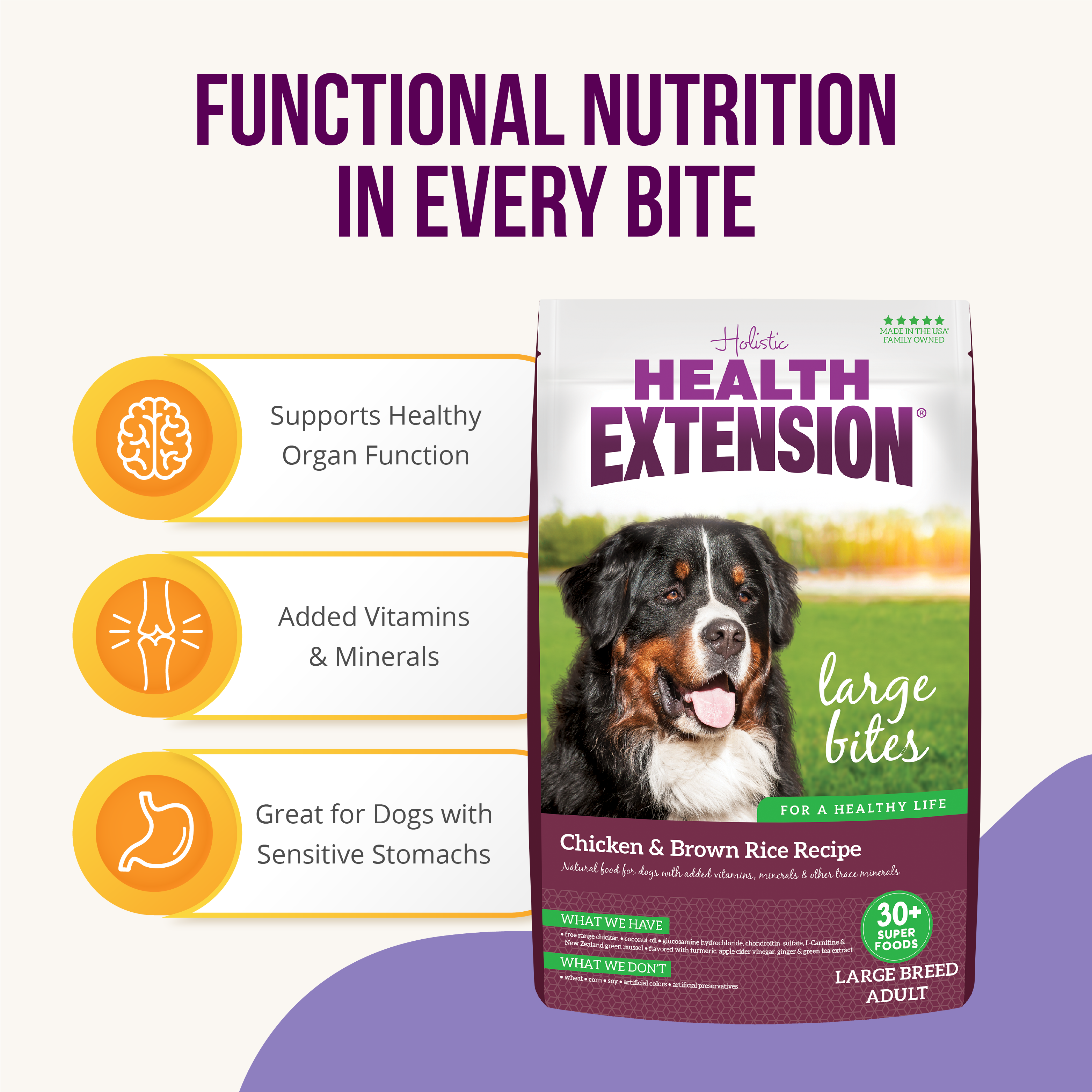 Health Extension Large Breed Chicken Brown Rice Dry Dog Food
