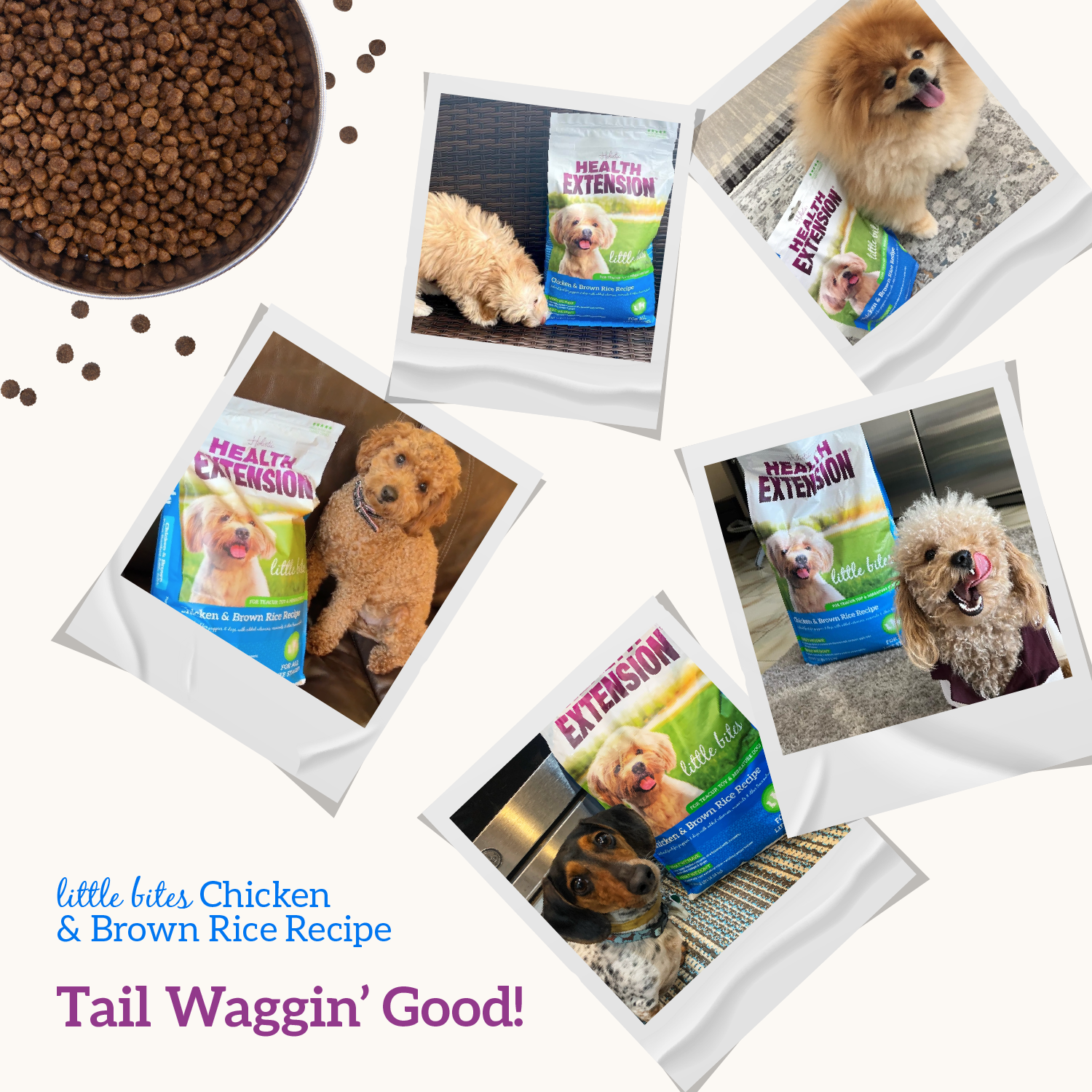 Holistic health extension puppy food deals