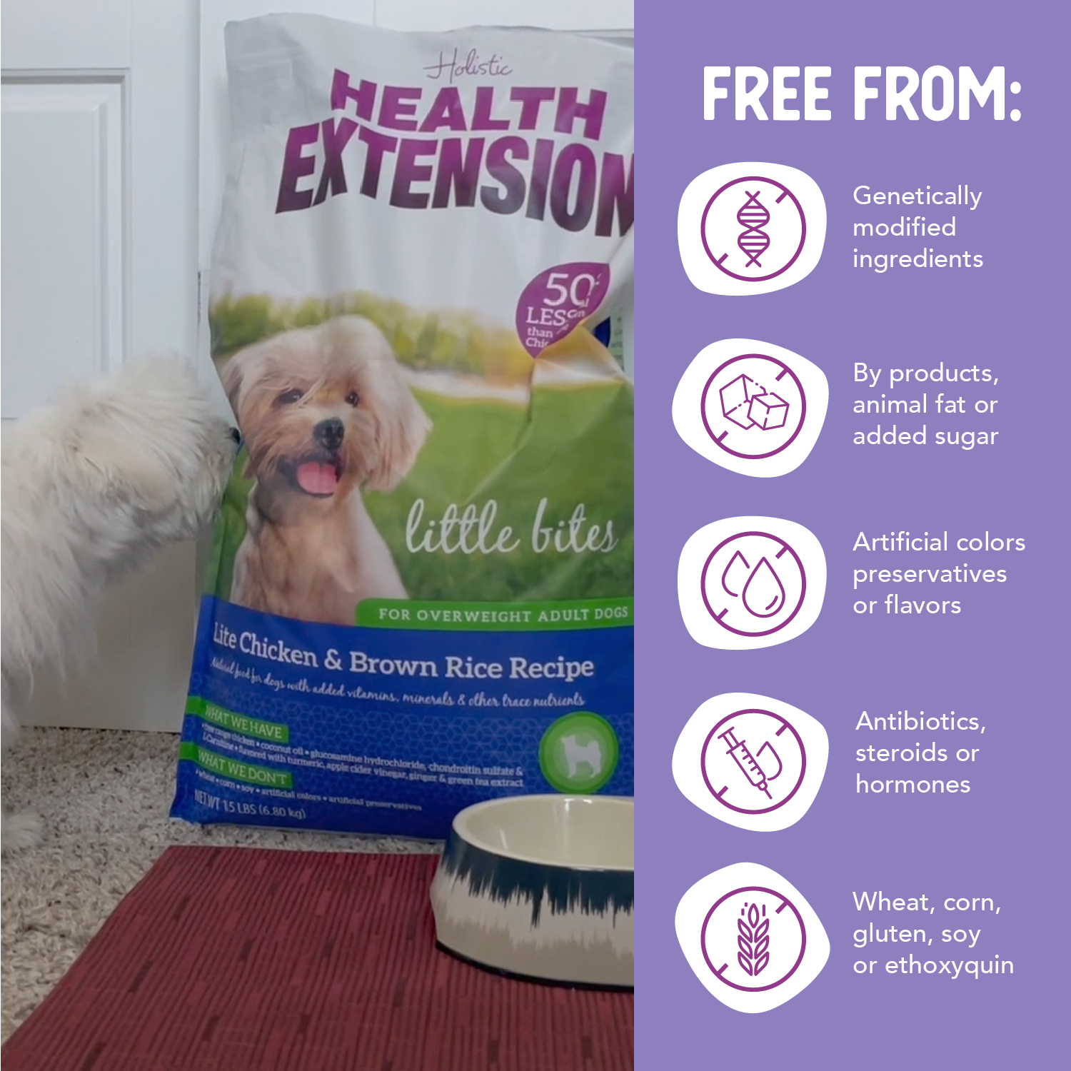 Health extension little bites near me best sale