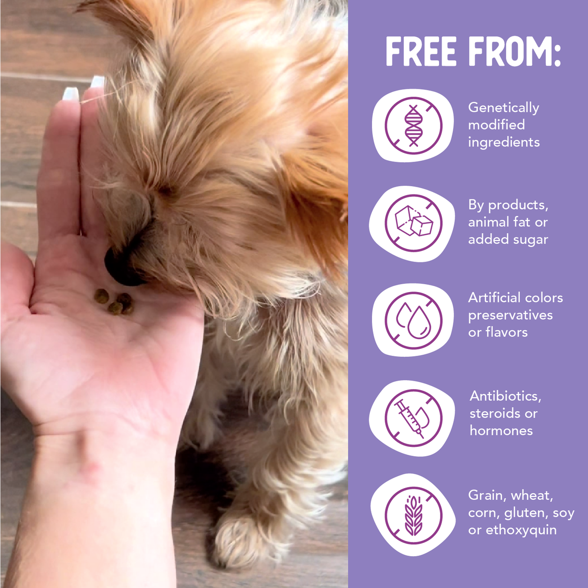 Health Extension Grain Free Salmon Little Bites Dry Dog Food - Sensitive Dogs And Grain Free Salmon Food