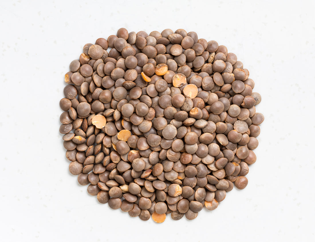 Lentils