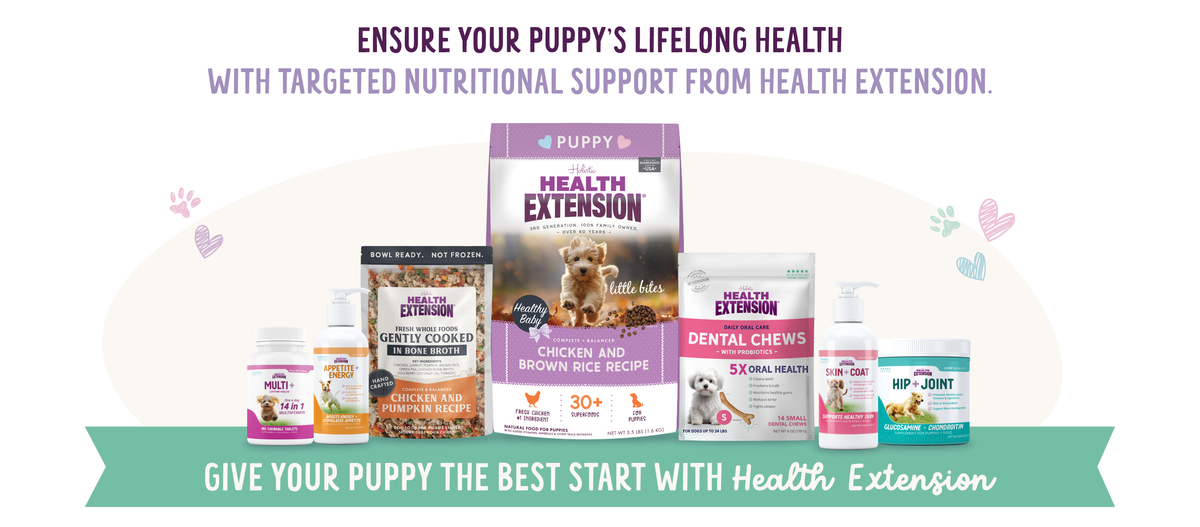 Health Extension Puppy Recommendations – Best Puppy Nutrition