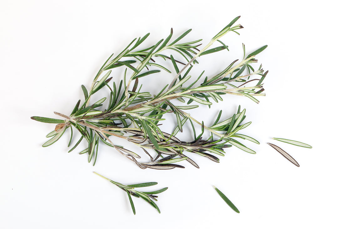 Rosemary