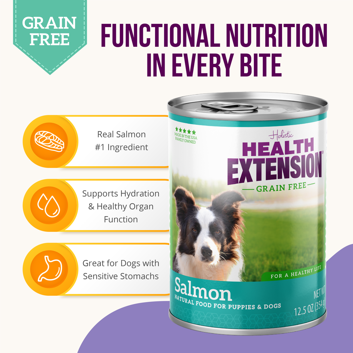 Health Extension Grain Free 95% Salmon Canned Dog Food
