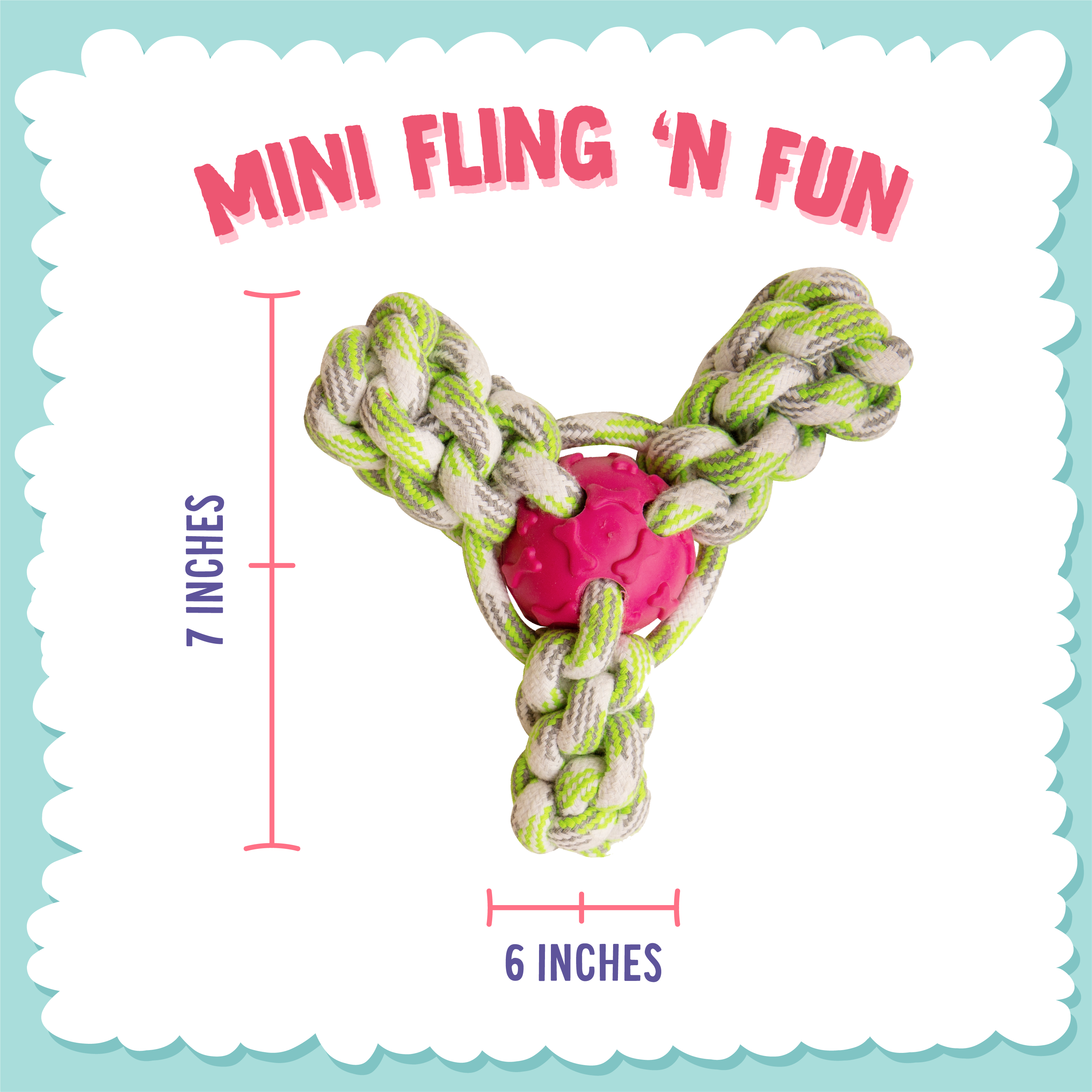 Mini Fling 'N Fun