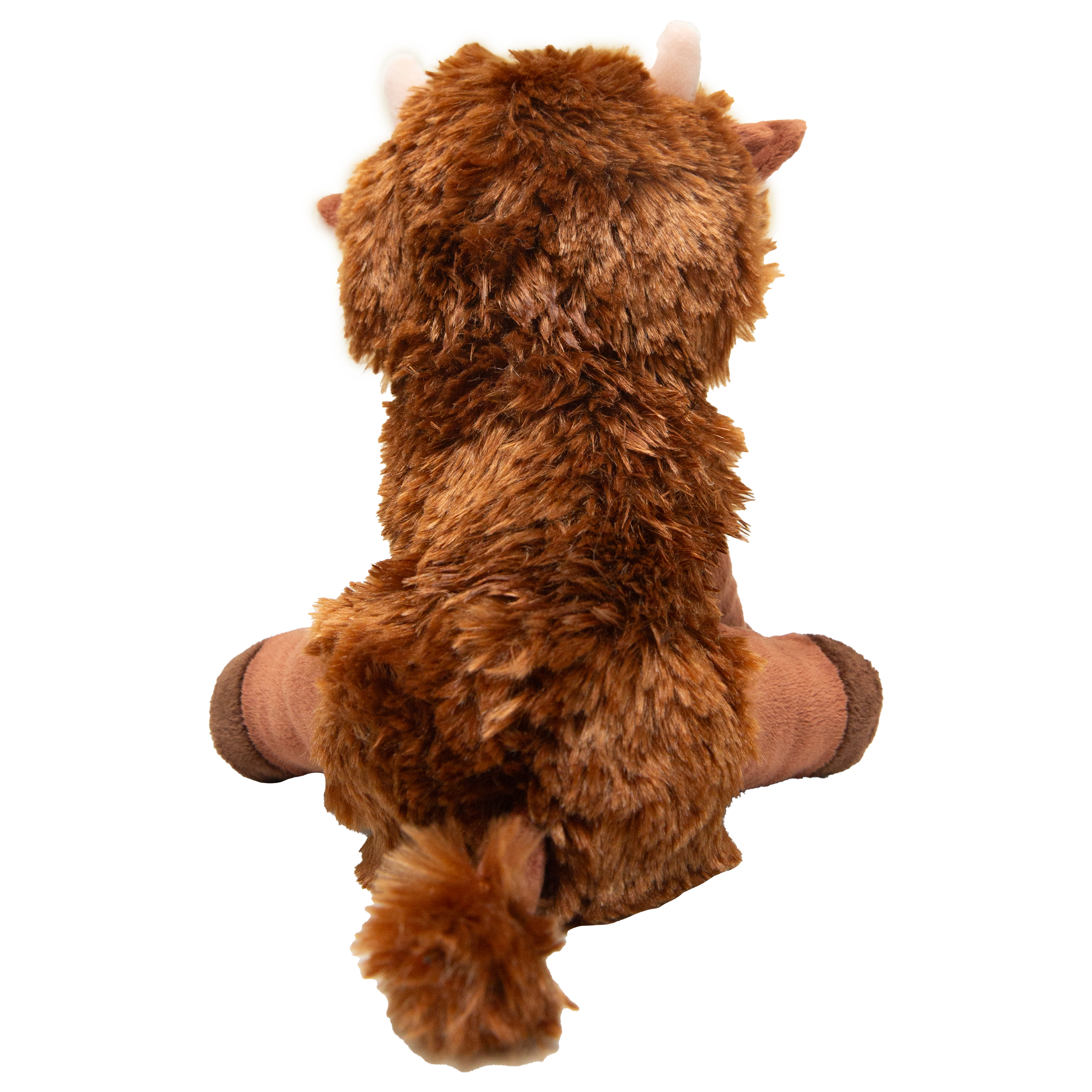 Nyland the Highland