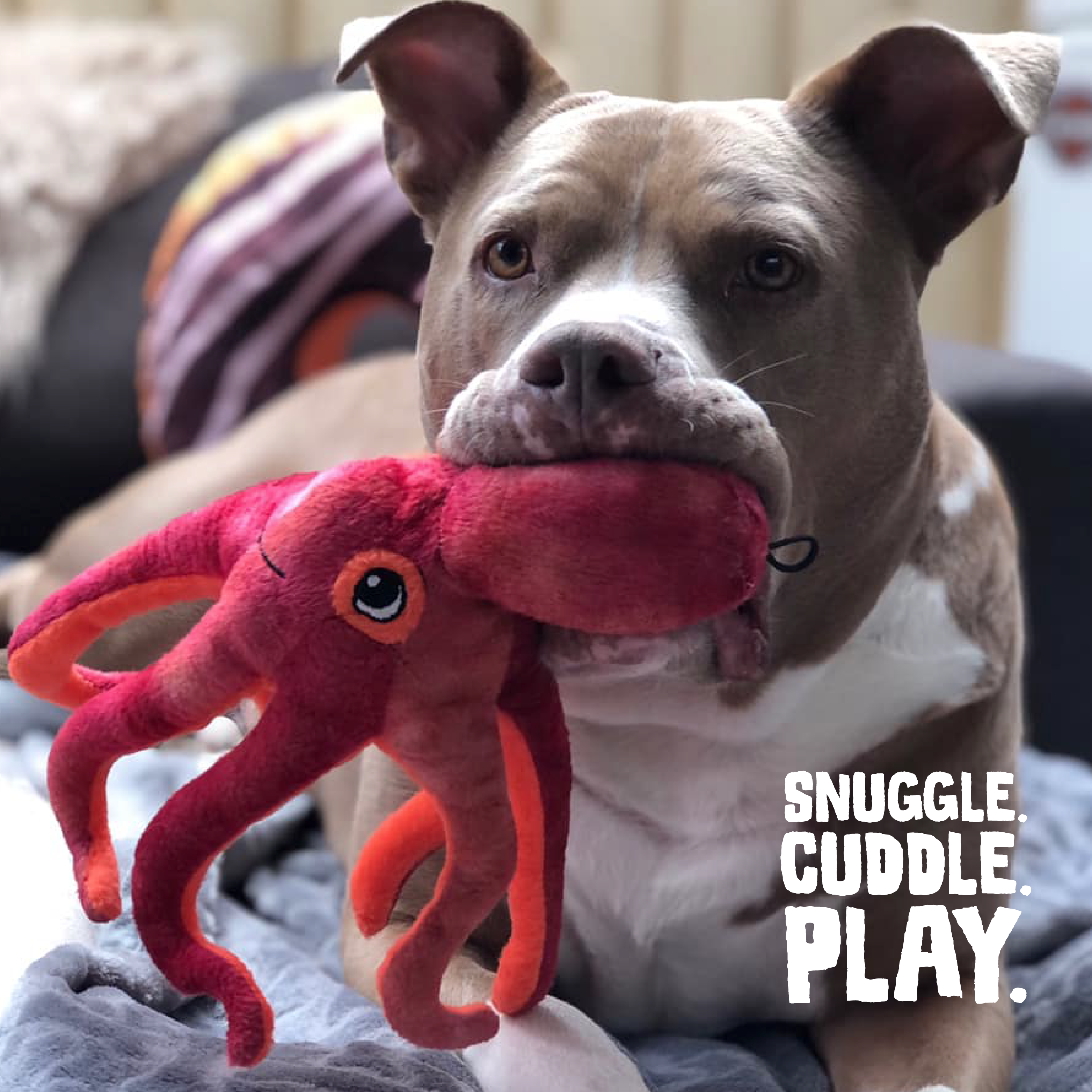 Cuddle 2024 pals octopus
