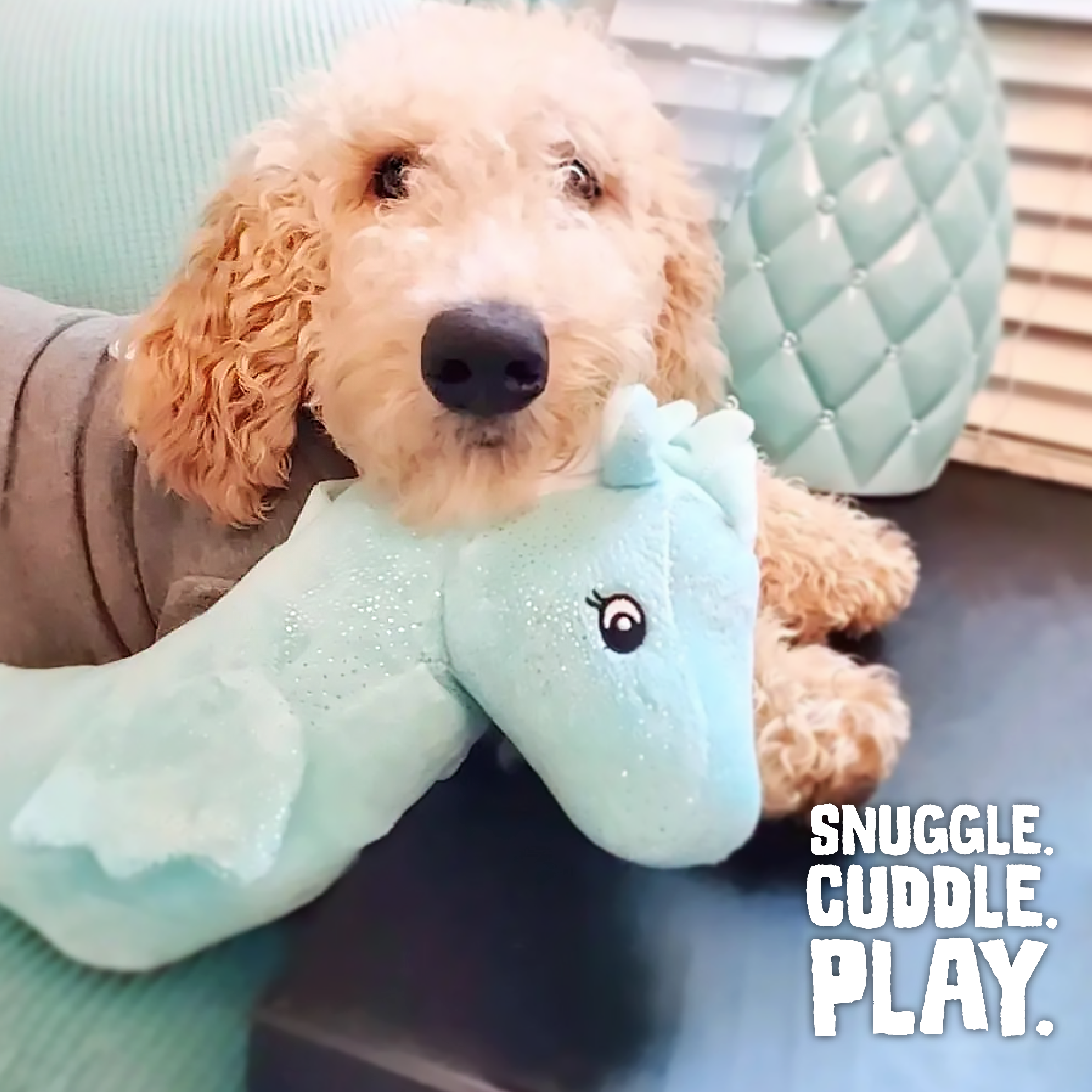 Sandy the Sea Horse