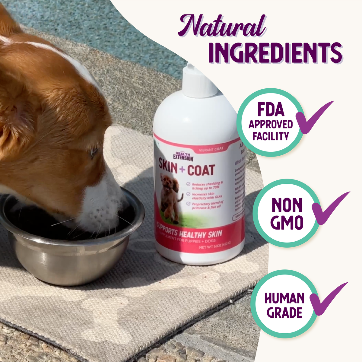 Picture of Health Extension Skin & Coat Supplement for Dogs and Puppies